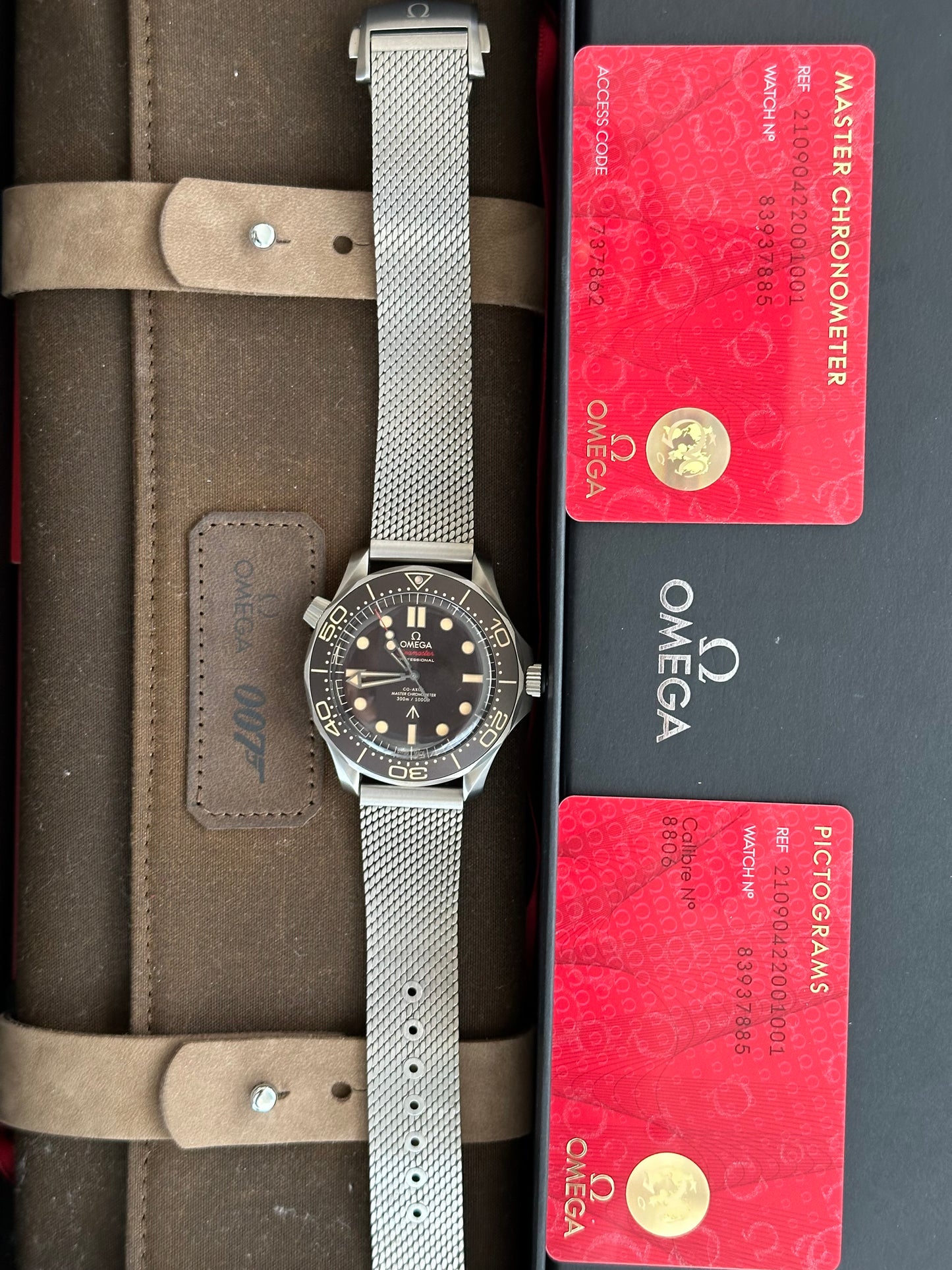 Omega Seamaster Professional 42mm Limited Edition 007